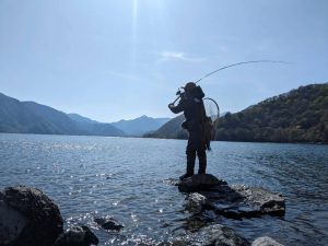中禅寺湖で大型トラウト🎣