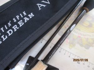 アヴェルラ入荷!!