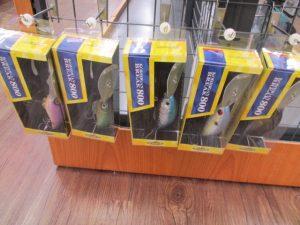 【TB豊田店】ﾊﾞｽ新製品入荷！