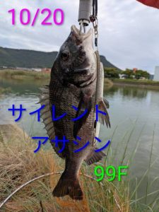 またまたソルト【ビッグベリー讃岐たかまつ店】