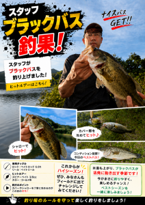 ブラックバス釣果情報【ビッグベリー讃岐たかまつ店】