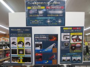 夜釣りの必需品【ビッグベリー讃岐たかまつ店】