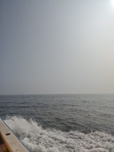 金沢八景エギダコ！