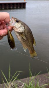 【TB板橋バス釣り情報(^_-)-☆】