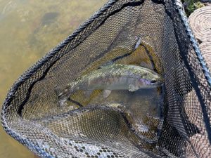 【板橋店】ベリーパーク in FISH ON! 王禅寺での釣果情報&トラフグ釣行のご準備は是非板橋店で！！！