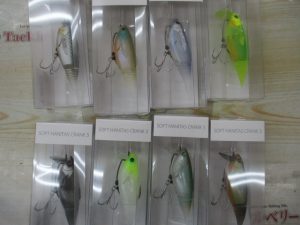 入荷情報盛り沢山🐠