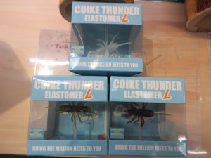 ★新入荷情報！