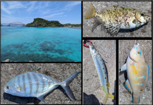 沖縄のフカセ楽しい♪