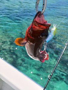 ☆沖縄うるま店釣果情報☆