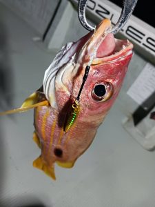 ☆沖縄うるま店釣果情報☆