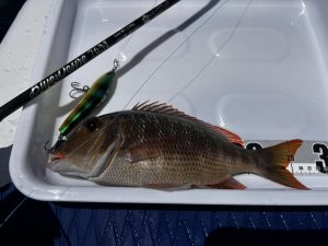 🐟沖縄うるま店釣果情報🐟