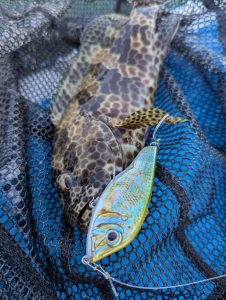 ★沖縄夏のルアー釣り★