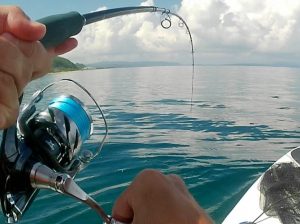 🐟沖縄うるま店釣果情報🐟