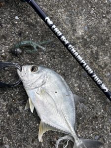 🐟沖縄うるま店釣果情報🐟