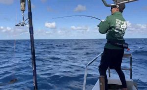 🐟沖縄うるま店釣果情報🐟