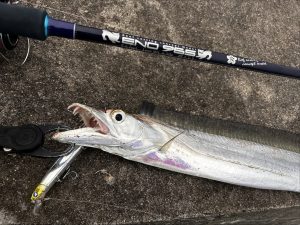 🐟沖縄うるま店釣果情報🐟