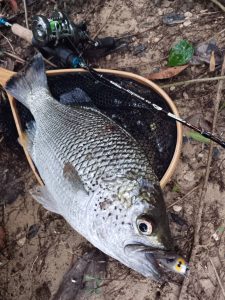 ☆沖縄うるま店釣果情報＆入荷情報★