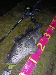 ☆沖縄うるま店釣果情報＆入荷情報★