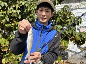🐟沖縄うるま店季節の釣り情報🐟