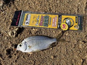 🐟沖縄うるま店釣果情報🐟