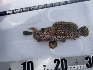 🐟沖縄うるま店釣果情報🐟久しぶりのSUP！🏄