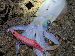 🦍新人スタッフ自己紹介🦍