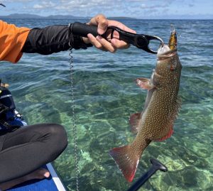 🐟沖縄うるま店釣果情報🐟SUP好調！！