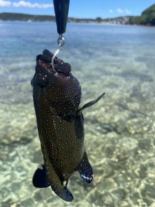 🐟沖縄うるま店釣果情報🐟中部ウェーディング