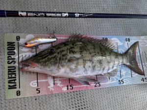 🐟沖縄うるま店釣果情報🐟ライキャス・GTフィッシング！！①
