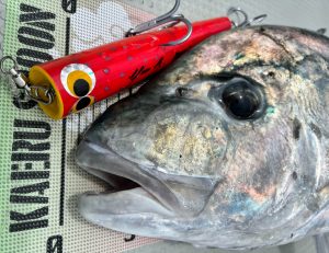 🐟沖縄うるま店釣果情報🐟ライキャス・GTフィッシング！！②