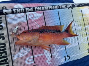 🐟沖縄うるま店釣果情報🐟短時間SUP釣行🏄