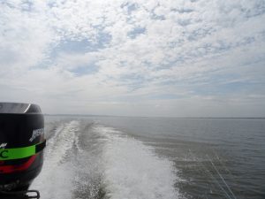 霞ヶ浦/新利根釣果情報