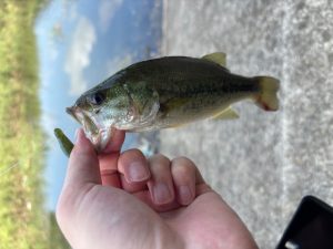 地獄のバス釣り…