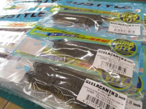 ギーラカンス/ミミキング入荷!!
