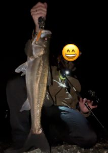 久々のシーバス釣行!&中古ルアー大量入荷!