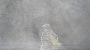 コモモ炸裂!!☆★☆那珂川釣果情報☆★☆