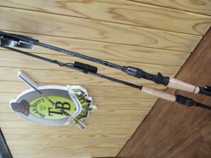 新製品ロッド＆BlueBlueルアー入荷！