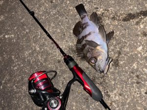 新年初メバ(*´▽｀*)