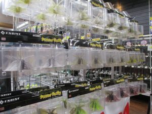 エンジン新製品ワーム入荷！！！