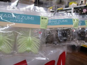 新品バス・シーバスルアー大量入荷！