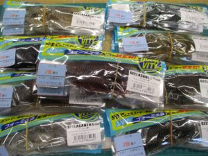 🌟注目🌟ギーラカンス4インチ入荷ッ＆告知！