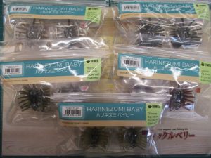 ハリネズミベイビー＆ミニ入荷!!