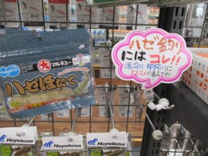 【TB常陸いしおか店】涸沼ハゼ開幕してますよぉ！