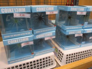 【ｺｲｹ13mm/ﾎﾞﾄﾑにょろ】新品入荷情報！