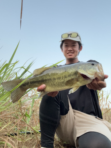 【ﾌﾞﾗｯｸﾊﾞｽ】ｽﾀｯﾌ釣果情報！