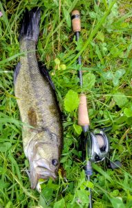 柴山沼バス釣り釣果情報