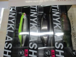 【新品】タイニークラッシュ入荷しました!!