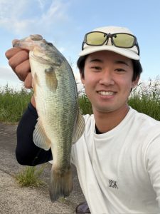 【霞水系】