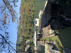 [相模湖】釣果情報