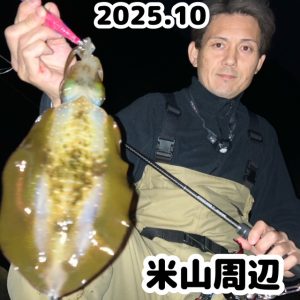 エギング釣果情報【ビッグベリー上越店】